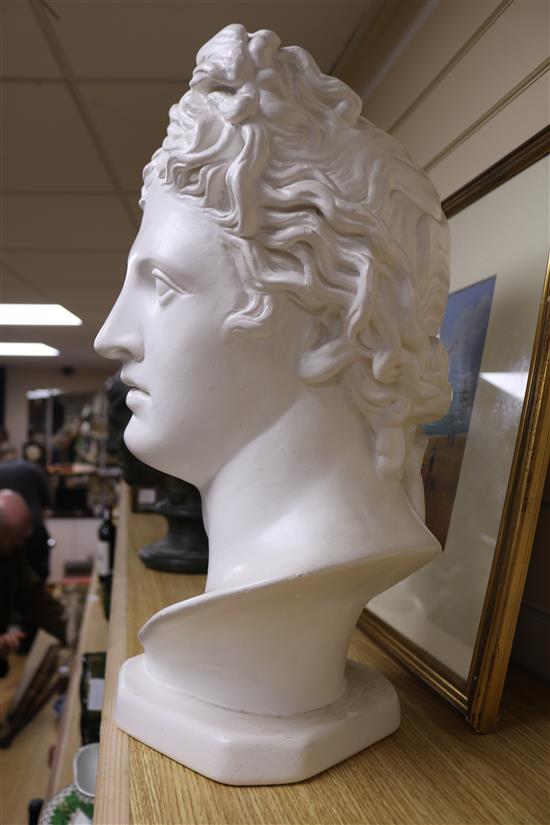 A plaster bust of Apollo